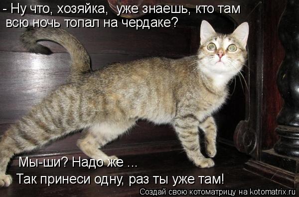 - Ну что, хозяйка, уже знаешь, кто там всю ночь топал на чердаке? Так принеси одну, раз ты уже там! ... Котоматрица: - Ну что, хозяйка, уже знаешь, кто там всю ночь топал на чердаке? Так принеси одну, раз ты уже там! Мы-ши? Надо же ...