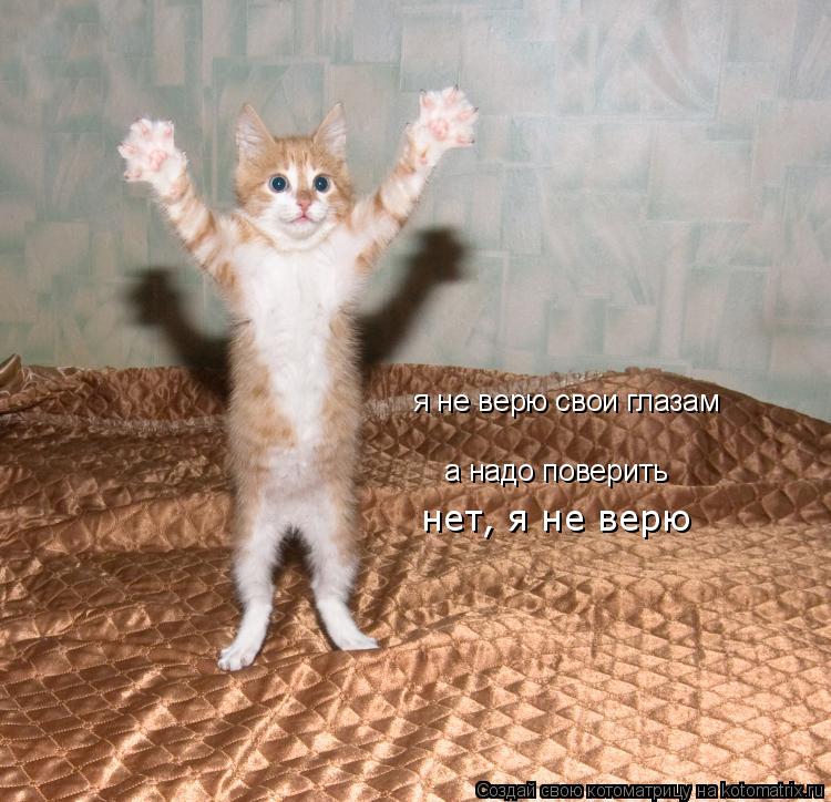 Котоматрица: я не верю свои глазам а надо поверить нет, я не верю
