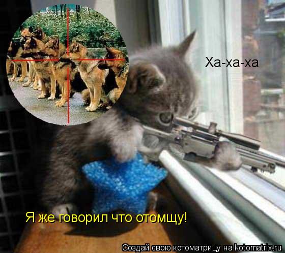 Котоматрица: Я же говорил что отомщу! Ха-ха-ха