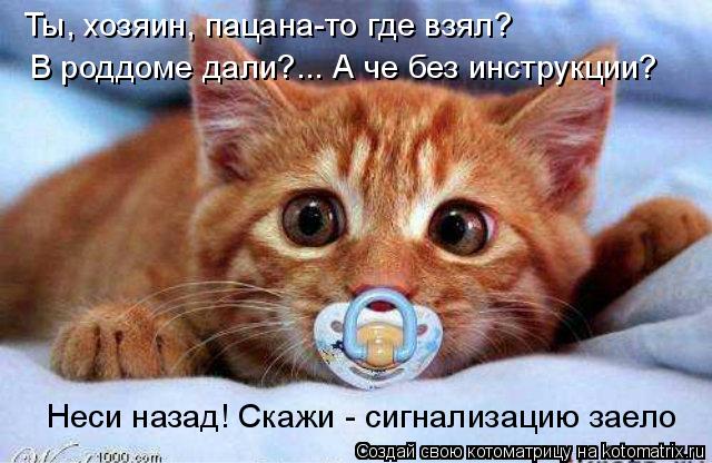 Ты, хозяин, пацана-то где взял? В роддоме дали?... А че без инструкции? Неси назад! Скажи - сигнализа... Котоматрица: Ты, хозяин, пацана-то где взял? В роддоме дали?... А че без инструкции? Неси назад! Скажи - сигнализацию заело