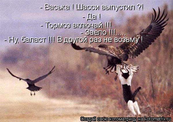 Котоматрица: - Васька ! Шасси выпустил ?! - Да ! - Тормоз включай !!! - Заело !!!..... - Ну, баласт !!! В другой раз не возьму !
