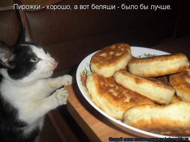 Котоматрица: Пирожки - хорошо, а вот беляши - было бы лучше.
