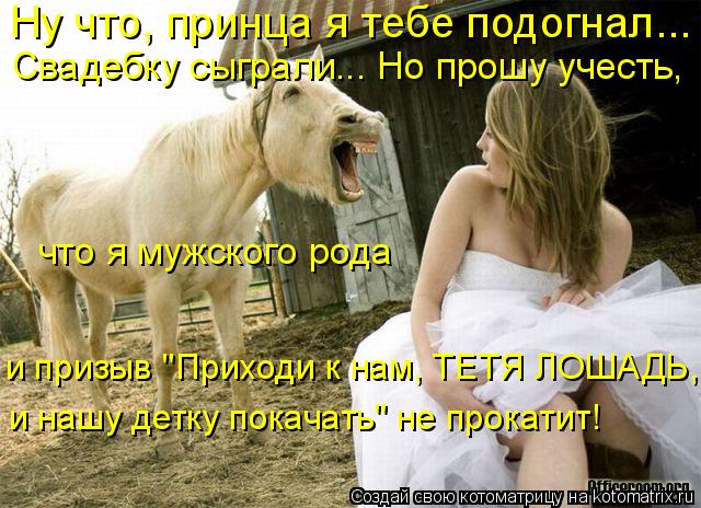 Котоматрица: Ну что, принца я тебе подогнал... Свадебку сыграли... Но прошу учесть,  что я мужского рода  и призыв "Приходи к нам, ТЕТЯ ЛОШАДЬ,  и нашу детку по