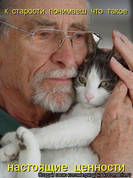 Котоматрица: к  старости  понимаеш  что  такое настоящие  ценности настоящие  ценности настоящие  ценности