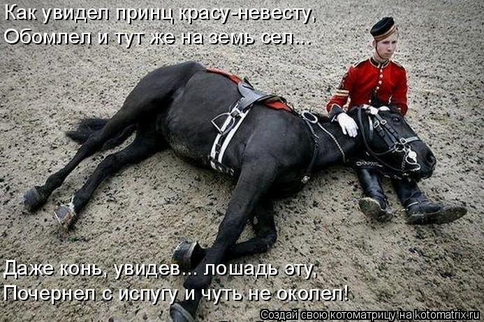 Котоматрица: Как увидел принц красу-невесту, Обомлел и тут же на земь сел... Даже конь, увидев... лошадь эту, Почернел с испугу и чуть не околел!