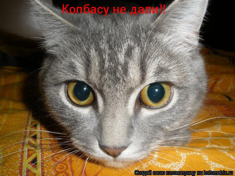 Котоматрица: Колбасу не дали!!