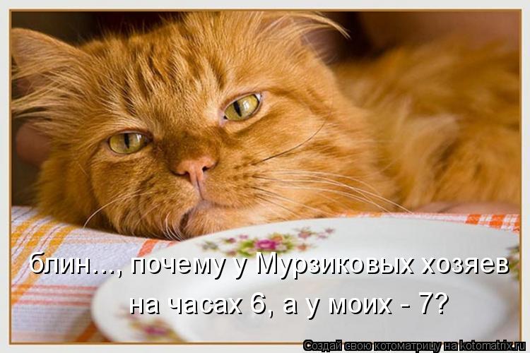 Котоматрица: блин..., почему у Мурзиковых хозяев  на часах 6, а у моих - 7?