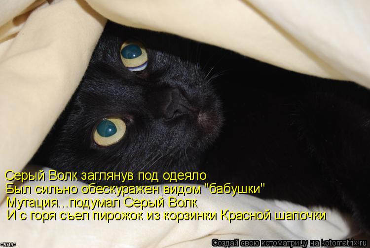 Котоматрица: Серый Волк заглянув под одеяло Был сильно обескуражен видом "бабушки" Мутация...подумал Серый Волк И с горя съел пирожок из корзинки Красной