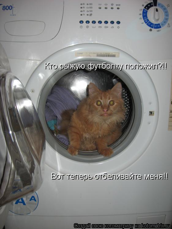 Котоматрица: Кто рыжую футболку положил?!! Вот теперь отбеливайте меня!!