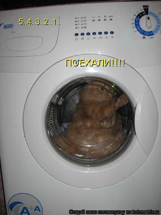 Котоматрица: 5..4..3..2..1.. ПОЕХАЛИ!!!!