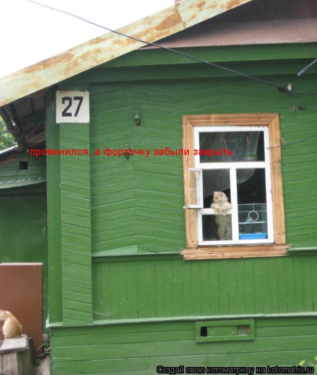 Котоматрица: провинился, а форточку забыли закрыть