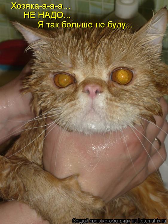 Котоматрица: Хозяка-а-а-а... НЕ НАДО... Я так больше не буду...