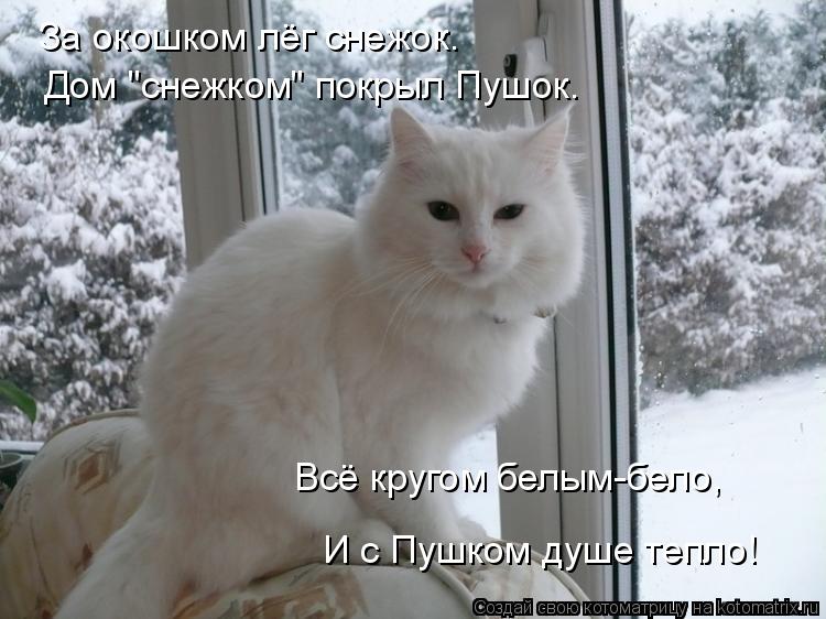 За окошком лёг снежок. Дом "снежком" покрыл Пушок. Всё кругом белым-бело, И с Пушком душе тепло!... Котоматрица: За окошком лёг снежок. Дом "снежком" покрыл Пушок. Всё кругом белым-бело, И с Пушком душе тепло!