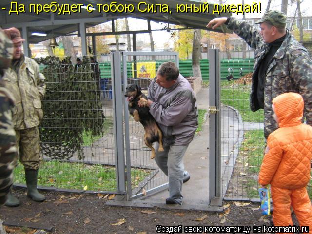 Котоматрица: - Да пребудет с тобою Сила, юный джедай!