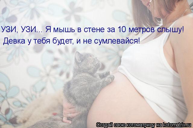 Котоматрица: УЗИ, УЗИ... Я мышь в стене за 10 метров слышу!  Девка у тебя будет, и не сумлевайся!