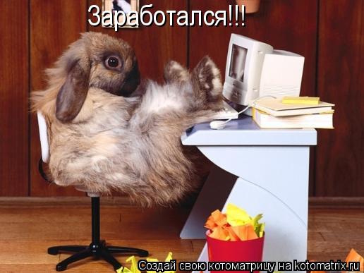 Котоматрица: Заработался!!!