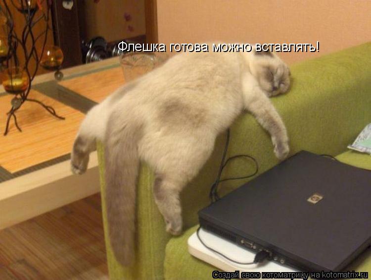 Котоматрица: Флешка готова можно вставлять!