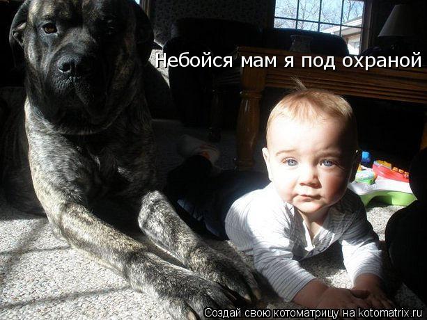 Котоматрица: Небойся мам я под охраной