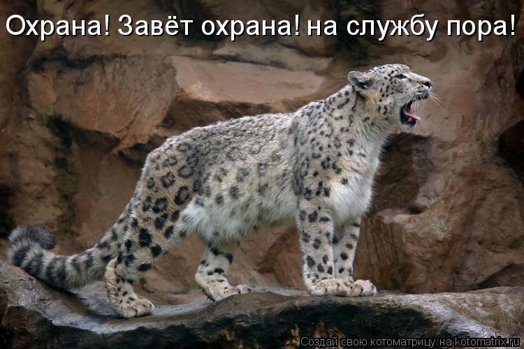 Котоматрица: Охрана! Завёт охрана! на службу пора!