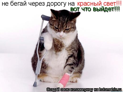 Котоматрица: не бегай через дорогу на  красный свет вот что выйдет!!! !!!