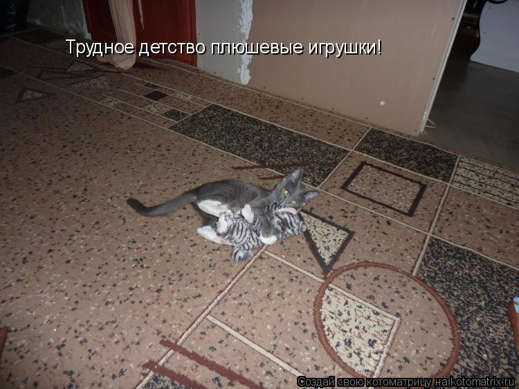 Котоматрица: Трудное детство плюшевые игрушки!