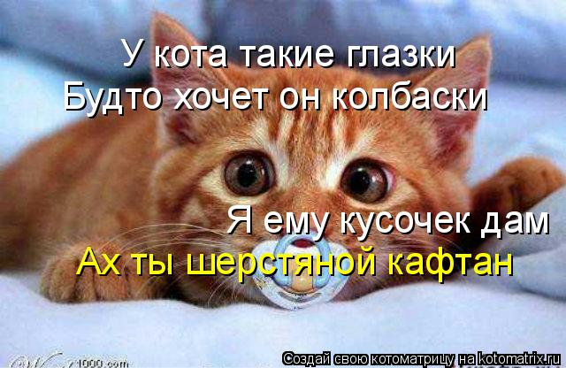 Котоматрица: У кота такие глазки  Будто хочет он колбаски Я ему кусочек дам Ах ты шерстяной кафтан