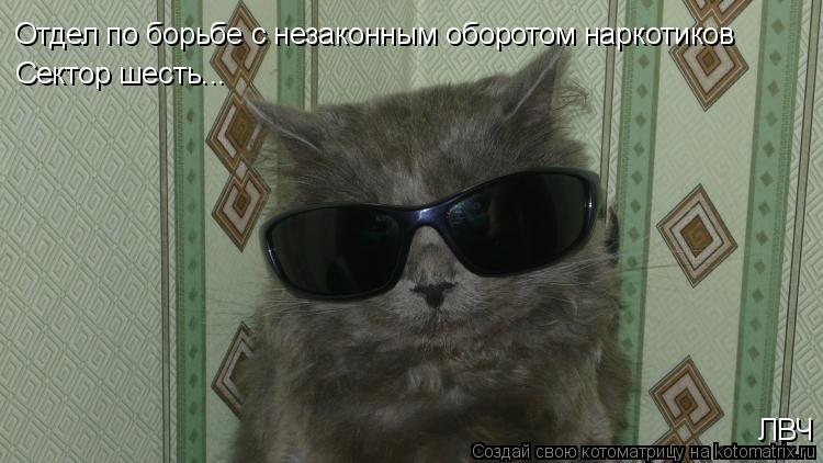 Котоматрица: Отдел по борьбе с незаконным оборотом наркотиков Сектор шесть... ЛВЧ