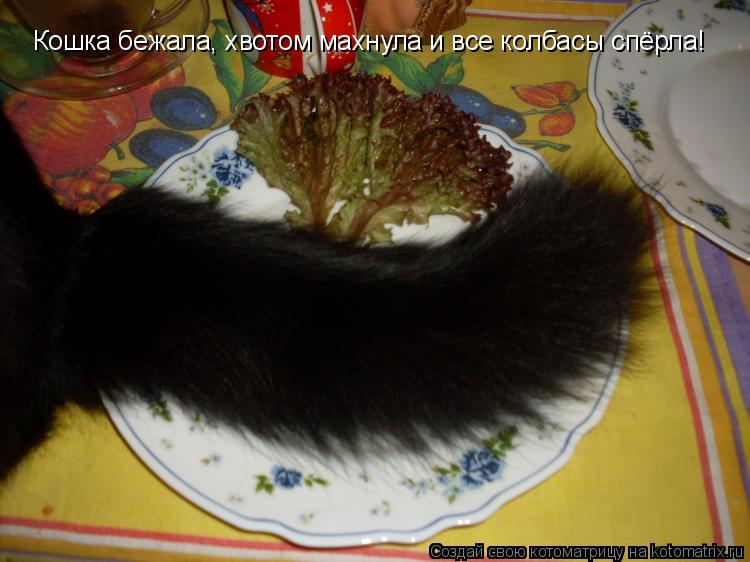 Котоматрица: Кошка бежала, хвотом махнула и все колбасы спёрла!
