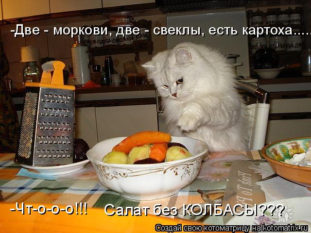 -Две - моркови, две - свеклы, есть картоха...... -Чт-о-о-о!!! Салат без КОЛБАСЫ???... Котоматрица: -Две - моркови, две - свеклы, есть картоха...... -Чт-о-о-о!!! Салат без КОЛБАСЫ???