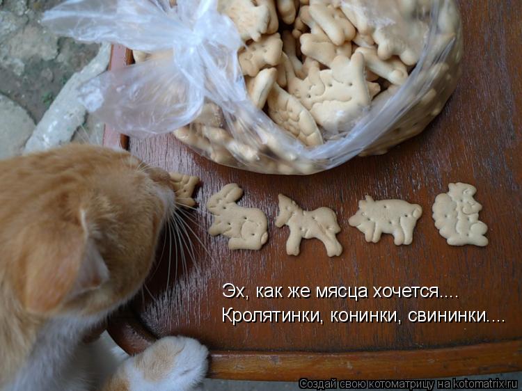 Котоматрица: Эх, как же мясца хочется.... Кролятинки, конинки, свининки....