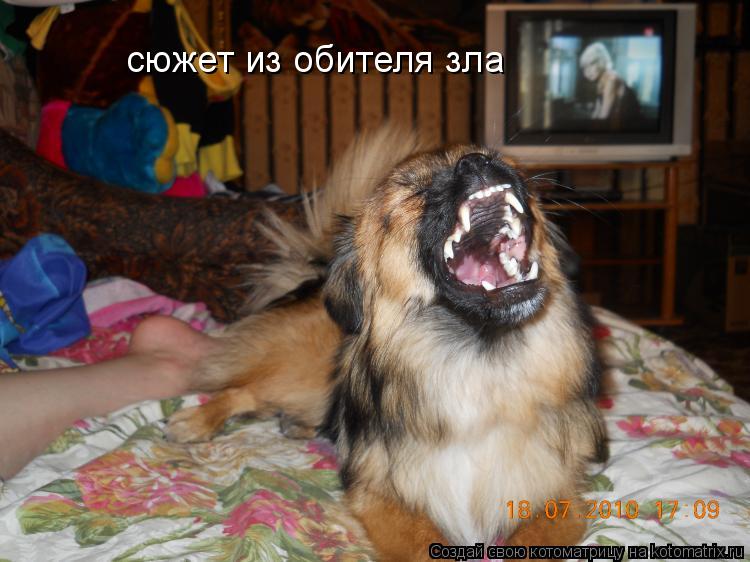 Котоматрица: сюжет из обителя зла