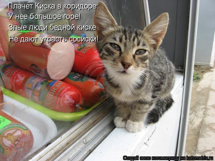 Плачет Киска в коридоре: У нее большое горе! Злые люди бедной киске Не дают украсть сосиски!... Котоматрица: Плачет Киска в коридоре: У нее большое горе! Злые люди бедной киске Не дают украсть сосиски!