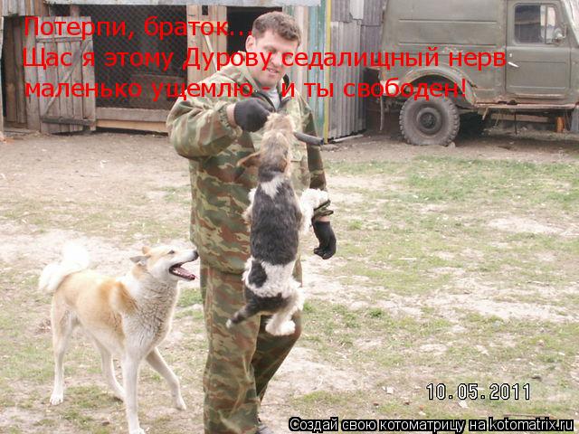 Котоматрица: Потерпи, браток... Щас я этому Дурову седалищный нерв маленько ущемлю - и ты свободен!