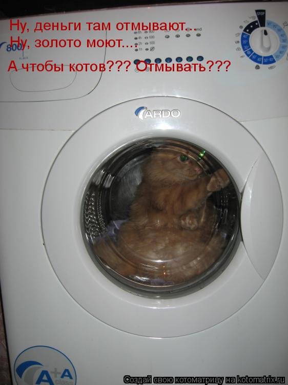 Котоматрица: Ну, деньги там отмывают... Ну, золото моют.... А чтобы котов??? Отмывать???