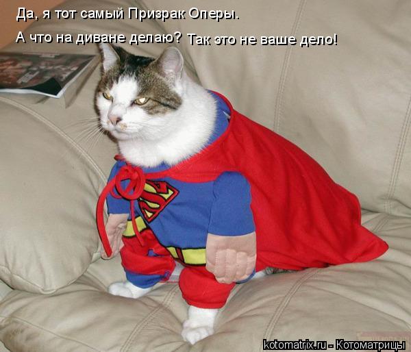 Котоматрица: Да, я тот самый Призрак Оперы. А что на диване делаю? Так это не ваше дело!