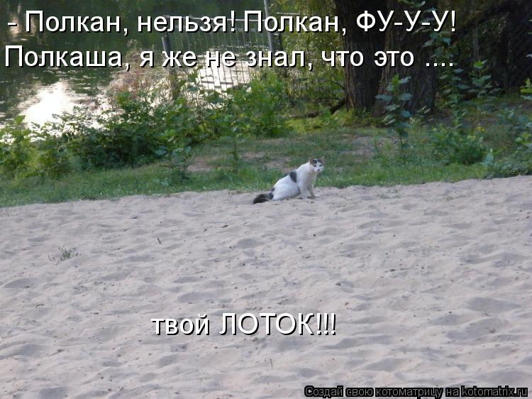 Котоматрица: - Полкан, нельзя! Полкан, ФУ-У-У! Полкаша, я же не знал, что это .... твой ЛОТОК!!!