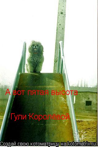 Котоматрица: А вот пятая высота Гули Королёвой