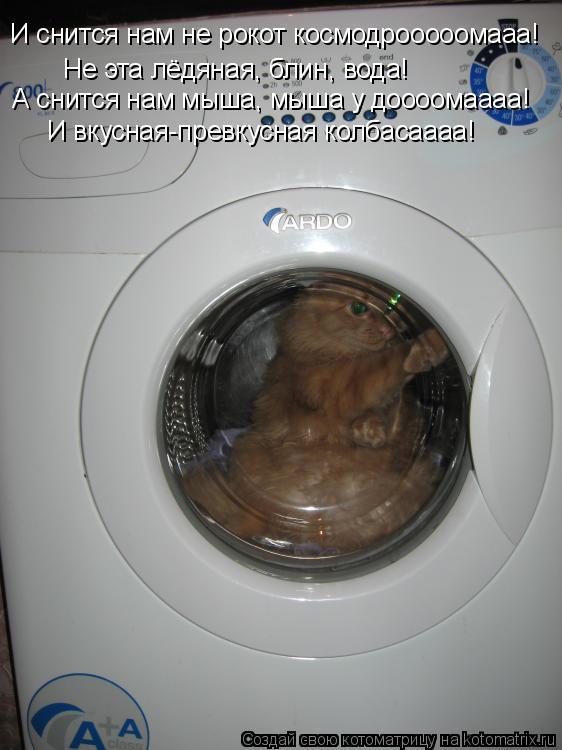 Котоматрица: И снится нам не рокот космодрооооомааа! Не эта лёдяная, блин, вода! А снится нам мыша, мыша у доооомаааа! И вкусная-превкусная колбасаааа!