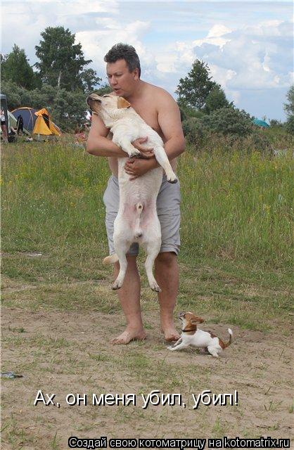 Котоматрица: Ах, он меня убил, убил!