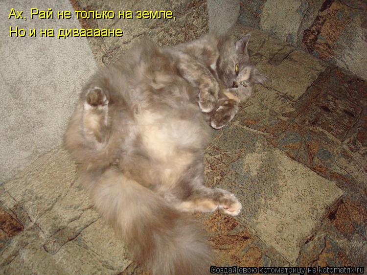 Котоматрица: Но и на диваааане Ах, Рай не только на земле,