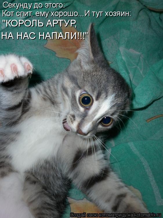 Котоматрица: Секунду до этого: Кот спит, ему хорошо...И тут хозяин: "КОРОЛЬ АРТУР,  НА НАС НАПАЛИ!!!"