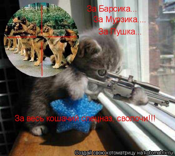 Котоматрица: За Барсика... За Мурзика.... За Пушка... За весь кошачий спецназ, сволочи!!!