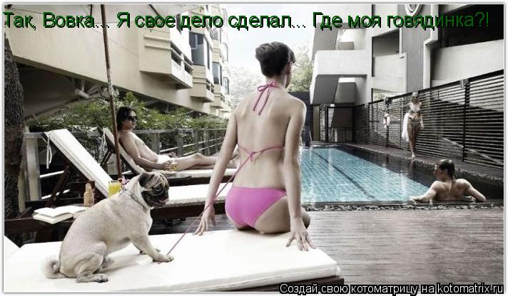 Котоматрица: Так, Вовка... Я свое дело сделал... Где моя говядинка?!