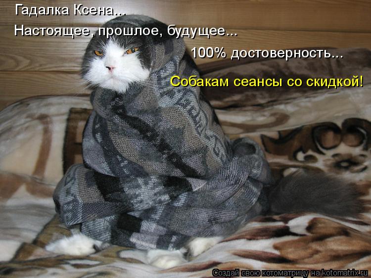 Котоматрица: Гадалка Ксена... Настоящее, прошлое, будущее... 100% достоверность... Собакам сеансы со скидкой!