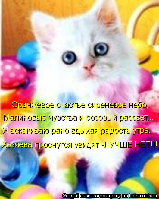 Котоматрица: Оранжевое счастье,сиреневое небо, Малиновые чувства и розовый рассвет... Я вскакиваю рано,вдыхая радость утра, Хозяева проснутся,увидят -ЛУ