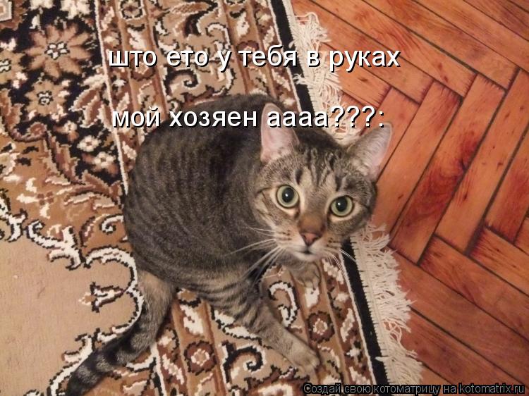 Котоматрица: што ето у тебя в руках мой хозяен аааа???: