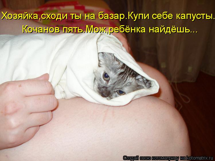 Котоматрица: Хозяйка,сходи ты на базар.Купи себе капусты. Кочанов пять.Мож,ребёнка найдёшь...