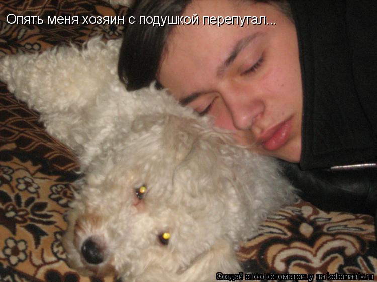 Котоматрица: Опять меня хозяин с подушкой перепутал...