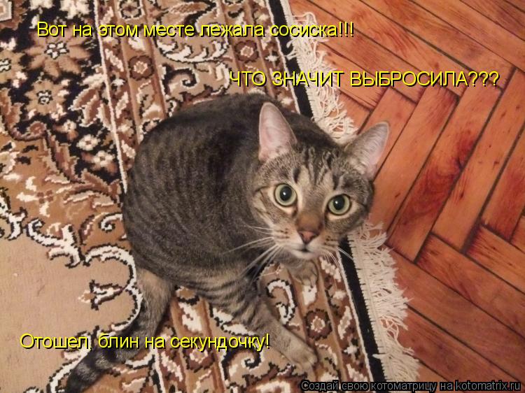 Котоматрица: Вот на этом месте лежала сосиска!!! ЧТО ЗНАЧИТ ВЫБРОСИЛА??? Отошел, блин на секундочку!