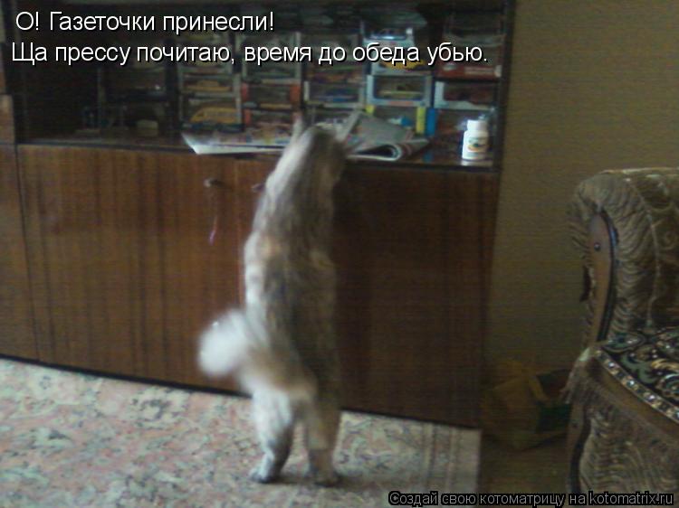Котоматрица: О! Газеточки принесли! Ща прессу почитаю, время до обеда убью.